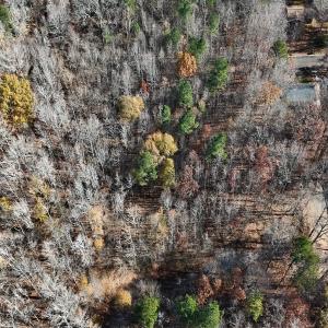 Photo #26 of Off Stone Drive, Roxboro, NC 40.8 acres