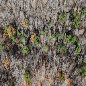 Photo #30 of Off Stone Drive, Roxboro, NC 40.8 acres