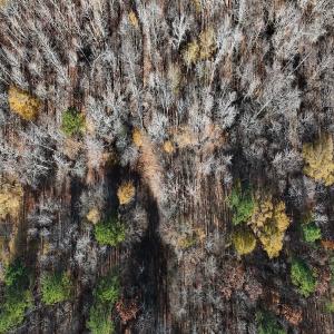 Photo #32 of Off Stone Drive, Roxboro, NC 40.8 acres