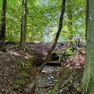 Photo #33 of Off Stone Drive, Roxboro, NC 40.8 acres