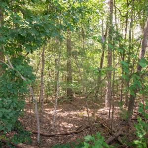 Photo #34 of Off Stone Drive, Roxboro, NC 40.8 acres