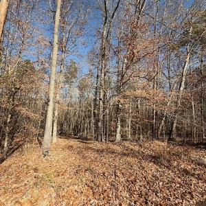 Photo #38 of Off Stone Drive, Roxboro, NC 40.8 acres