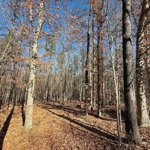 Photo #39 of Off Stone Drive, Roxboro, NC 40.8 acres