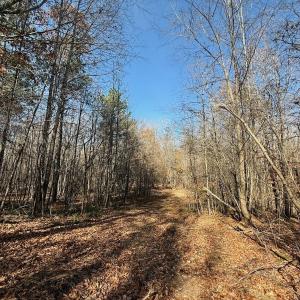 Photo #40 of Off Stone Drive, Roxboro, NC 40.8 acres
