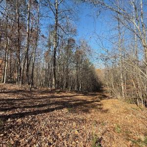 Photo #41 of Off Stone Drive, Roxboro, NC 40.8 acres