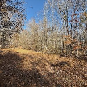 Photo #42 of Off Stone Drive, Roxboro, NC 40.8 acres