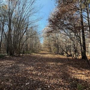 Photo #43 of Off Stone Drive, Roxboro, NC 40.8 acres