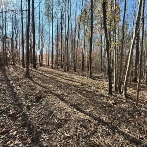 Photo #48 of Off Stone Drive, Roxboro, NC 40.8 acres