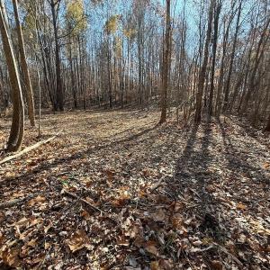 Photo #49 of Off Stone Drive, Roxboro, NC 40.8 acres