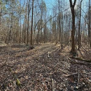 Photo #50 of Off Stone Drive, Roxboro, NC 40.8 acres