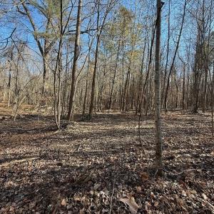 Photo #51 of Off Stone Drive, Roxboro, NC 40.8 acres
