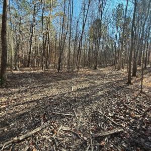 Photo #52 of Off Stone Drive, Roxboro, NC 40.8 acres