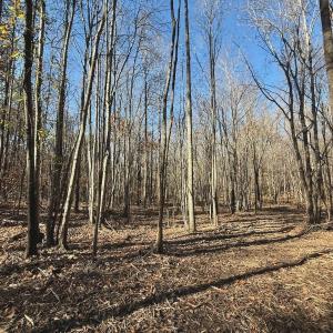 Photo #54 of Off Stone Drive, Roxboro, NC 40.8 acres