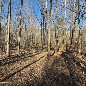 Photo #55 of Off Stone Drive, Roxboro, NC 40.8 acres