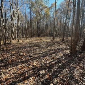 Photo #56 of Off Stone Drive, Roxboro, NC 40.8 acres