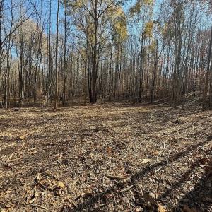 Photo #57 of Off Stone Drive, Roxboro, NC 40.8 acres
