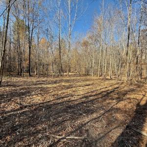 Photo #58 of Off Stone Drive, Roxboro, NC 40.8 acres