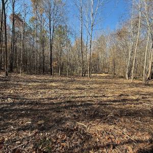 Photo #59 of Off Stone Drive, Roxboro, NC 40.8 acres