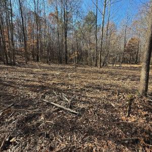 Photo #60 of Off Stone Drive, Roxboro, NC 40.8 acres