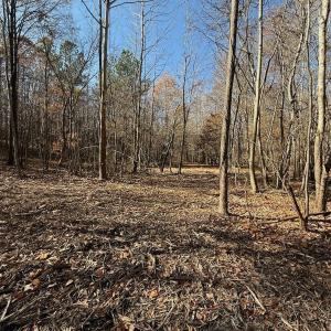 Photo #61 of Off Stone Drive, Roxboro, NC 40.8 acres