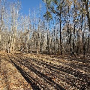 Photo #62 of Off Stone Drive, Roxboro, NC 40.8 acres