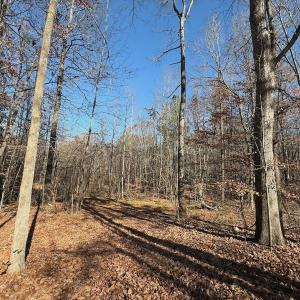 Photo #63 of Off Stone Drive, Roxboro, NC 40.8 acres