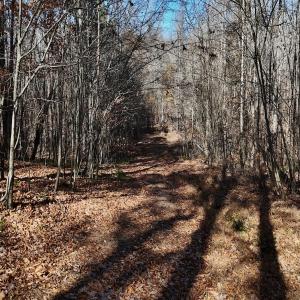Photo #64 of Off Stone Drive, Roxboro, NC 40.8 acres