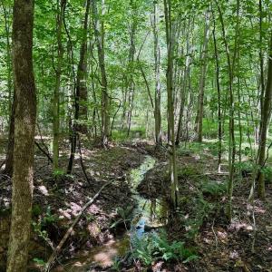 Photo #74 of Off Stone Drive, Roxboro, NC 40.8 acres