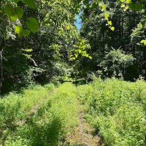 Photo #76 of Off Stone Drive, Roxboro, NC 40.8 acres