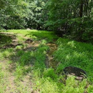 Photo #77 of Off Stone Drive, Roxboro, NC 40.8 acres
