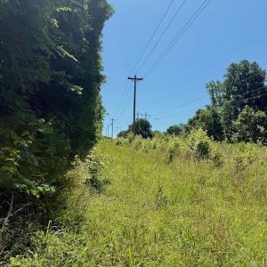 Photo #85 of Off Stone Drive, Roxboro, NC 40.8 acres