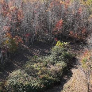 Photo #7 of Off Beulah Road, Rocky Mount, VA 18.3 acres