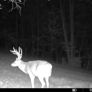 Photo #8 of Off Beulah Road, Rocky Mount, VA 18.3 acres