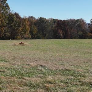 Photo #32 of Off Beulah Road, Rocky Mount, VA 18.3 acres