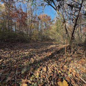 Photo #69 of Off Beulah Road, Rocky Mount, VA 18.3 acres