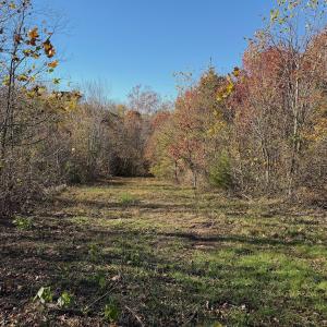 Photo #63 of Off Beulah Road, Rocky Mount, VA 18.3 acres