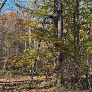 Photo #64 of Off Beulah Road, Rocky Mount, VA 18.3 acres