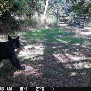 Photo #92 of Off Beulah Road, Rocky Mount, VA 18.3 acres