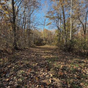 Photo #9 of Off Beulah Road, Rocky Mount, VA 15.1 acres