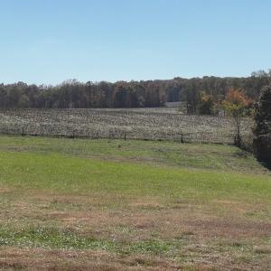 Photo #35 of Off Beulah Road, Rocky Mount, VA 15.1 acres