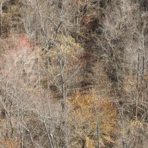 Photo #22 of Off Beulah Road, Rocky Mount, VA 15.1 acres