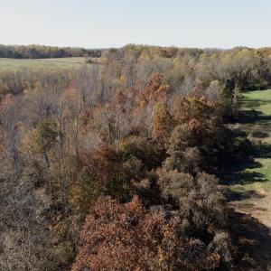 Photo #44 of Off Beulah Road, Rocky Mount, VA 15.1 acres