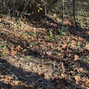 Photo #65 of Off Beulah Road, Rocky Mount, VA 15.1 acres