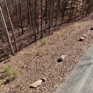 Photo #10 of Off Leesville Lake Drive, Pittsville, VA 5.6 acres