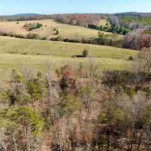 Photo #2 of Off Leesville Lake Drive, Pittsville, VA 5.6 acres