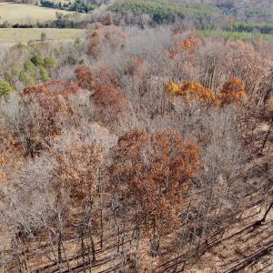 Photo #4 of Off Leesville Lake Drive, Pittsville, VA 5.6 acres