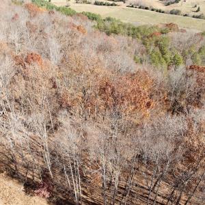 Photo #5 of Off Leesville Lake Drive, Pittsville, VA 5.6 acres