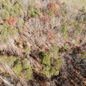 Photo #7 of Off Leesville Lake Drive, Pittsville, VA 5.6 acres