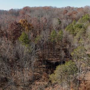 Photo #8 of Off Leesville Lake Drive, Pittsville, VA 5.6 acres