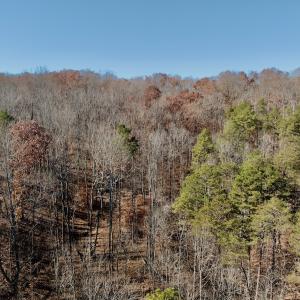 Photo #20 of Off Leesville Lake Drive, Pittsville, VA 5.6 acres